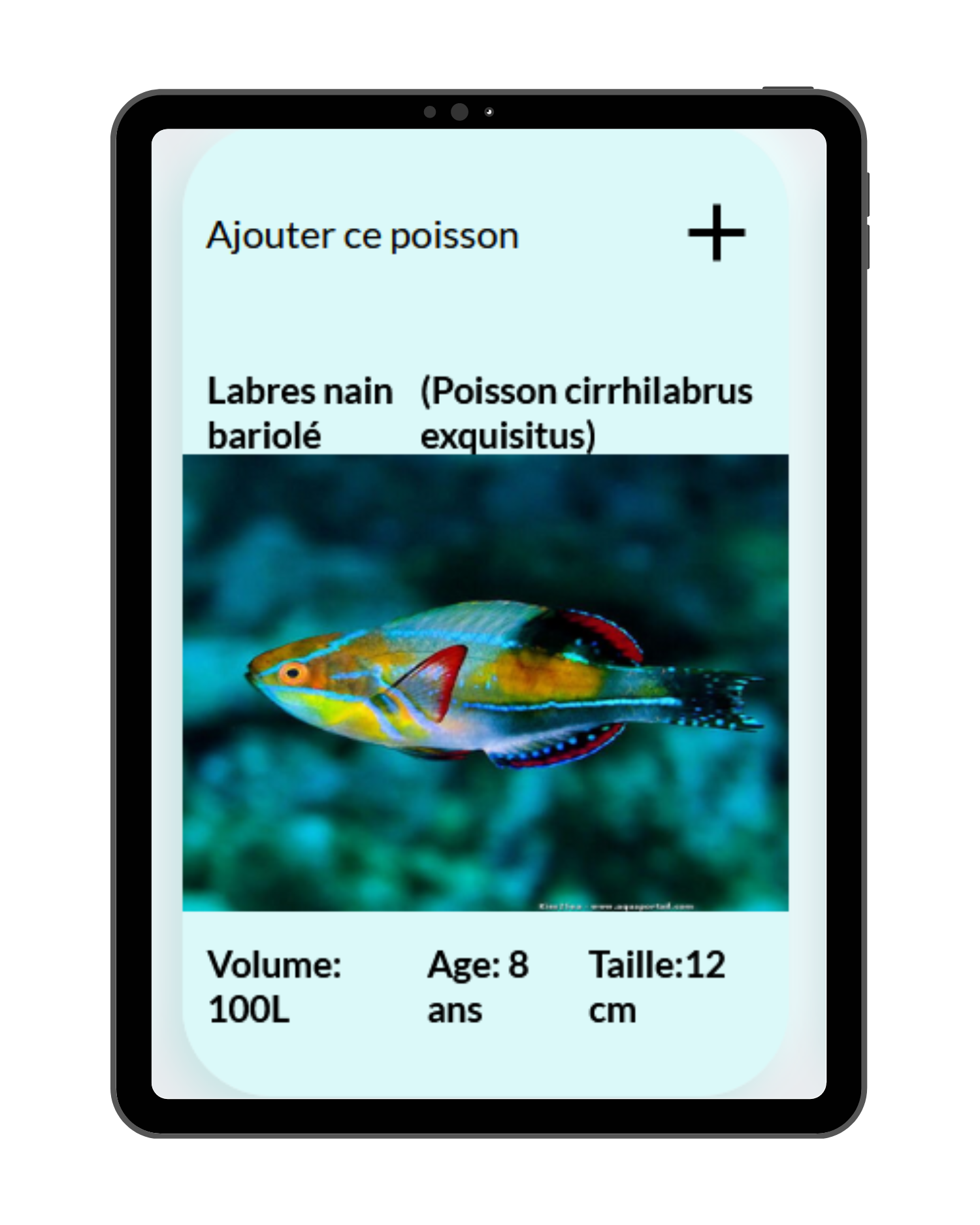 Aqua Reef — vue 1