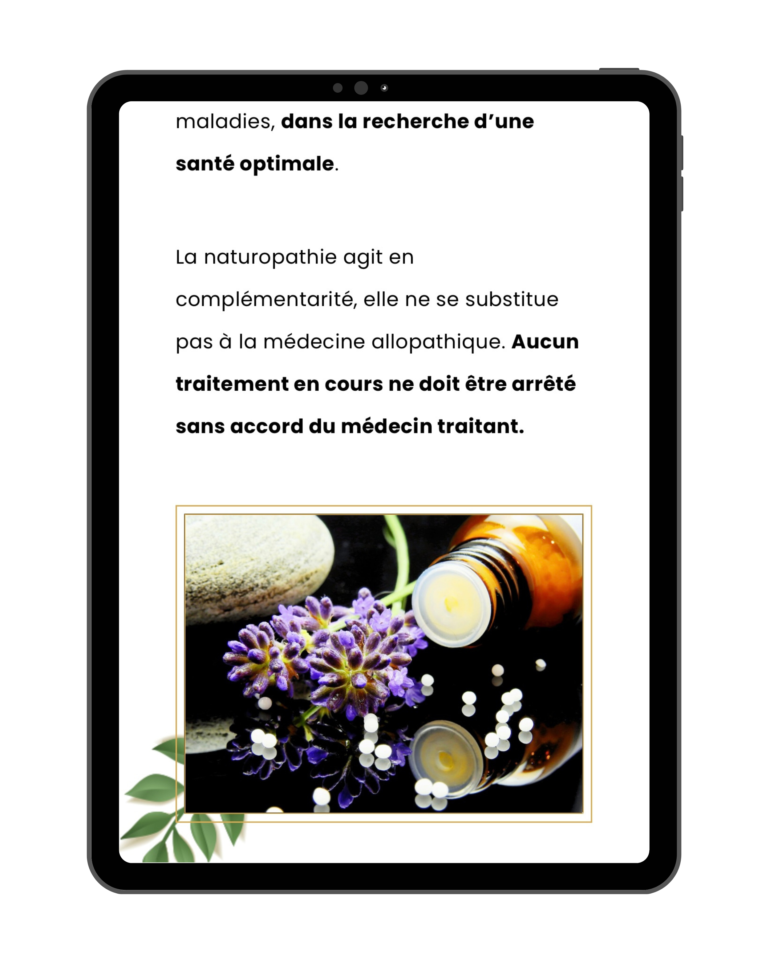 Naturo Naturelle — vue 3