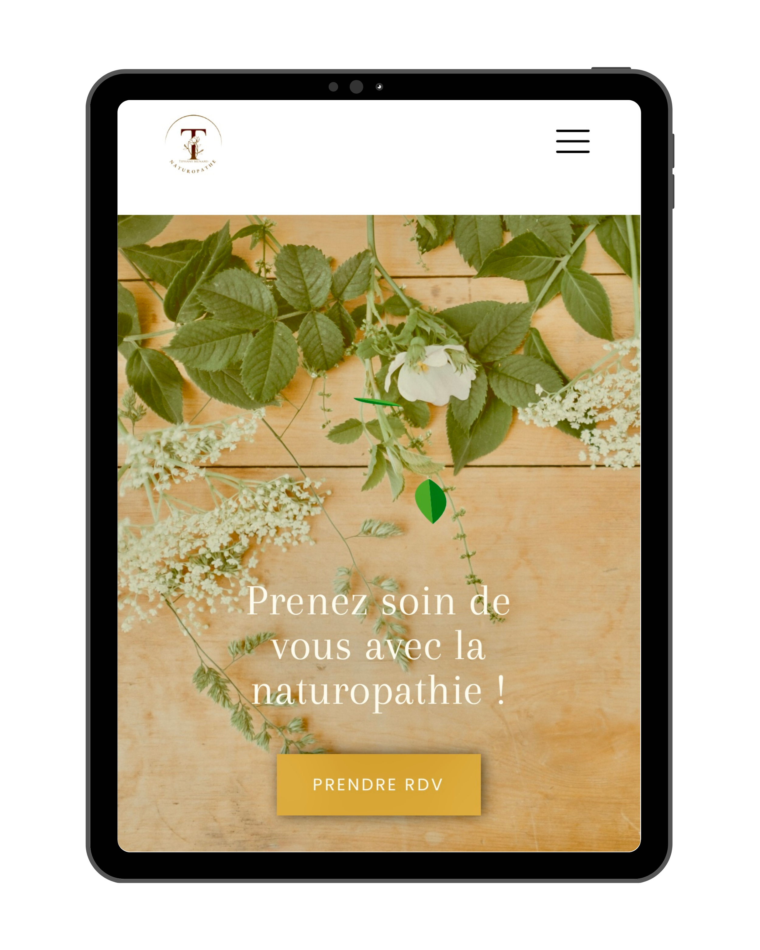 Aperçu du site Naturo Naturelle